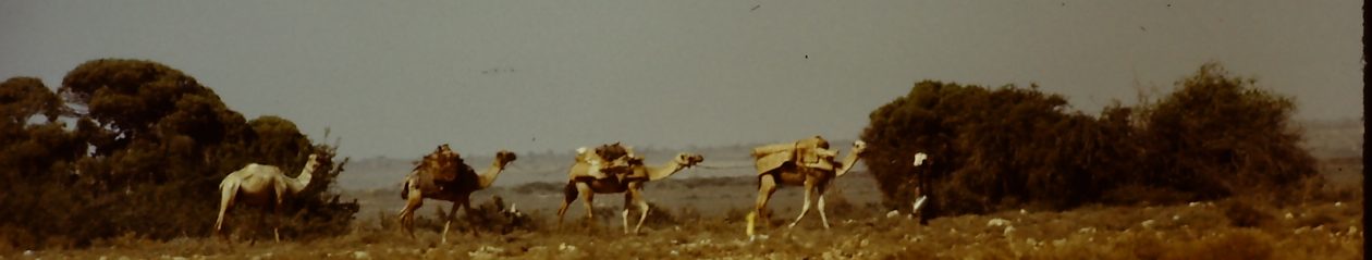 Somalia photographs 1975
